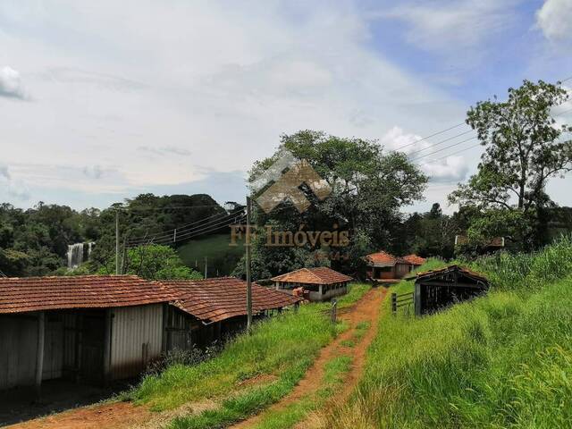 #20 - Sítio para Venda em Torrinha - SP - 3