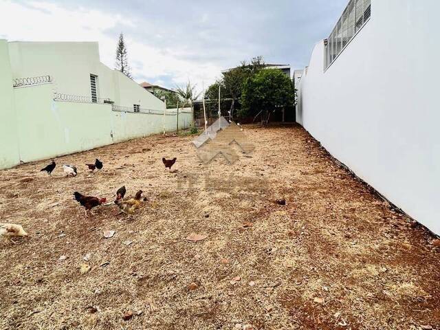 Venda em Jardim Cardinalli - São Carlos