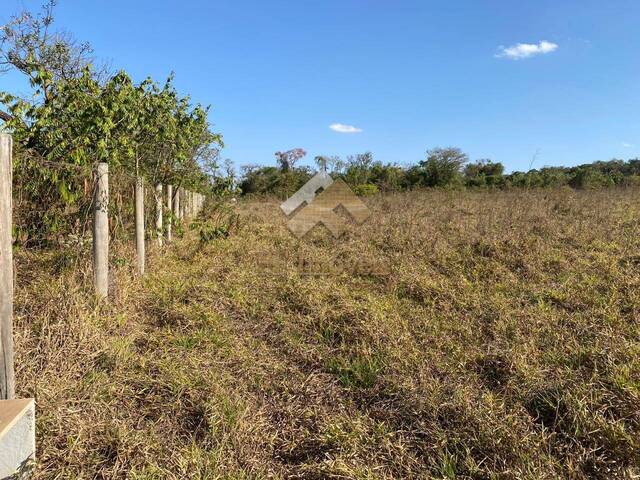 #357 - Terreno para Venda em Itirapina - SP - 3