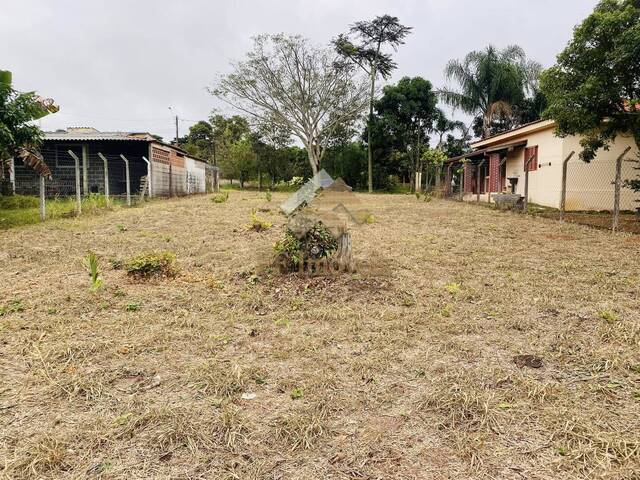 #381 - Terreno para Venda em Brotas - SP - 2