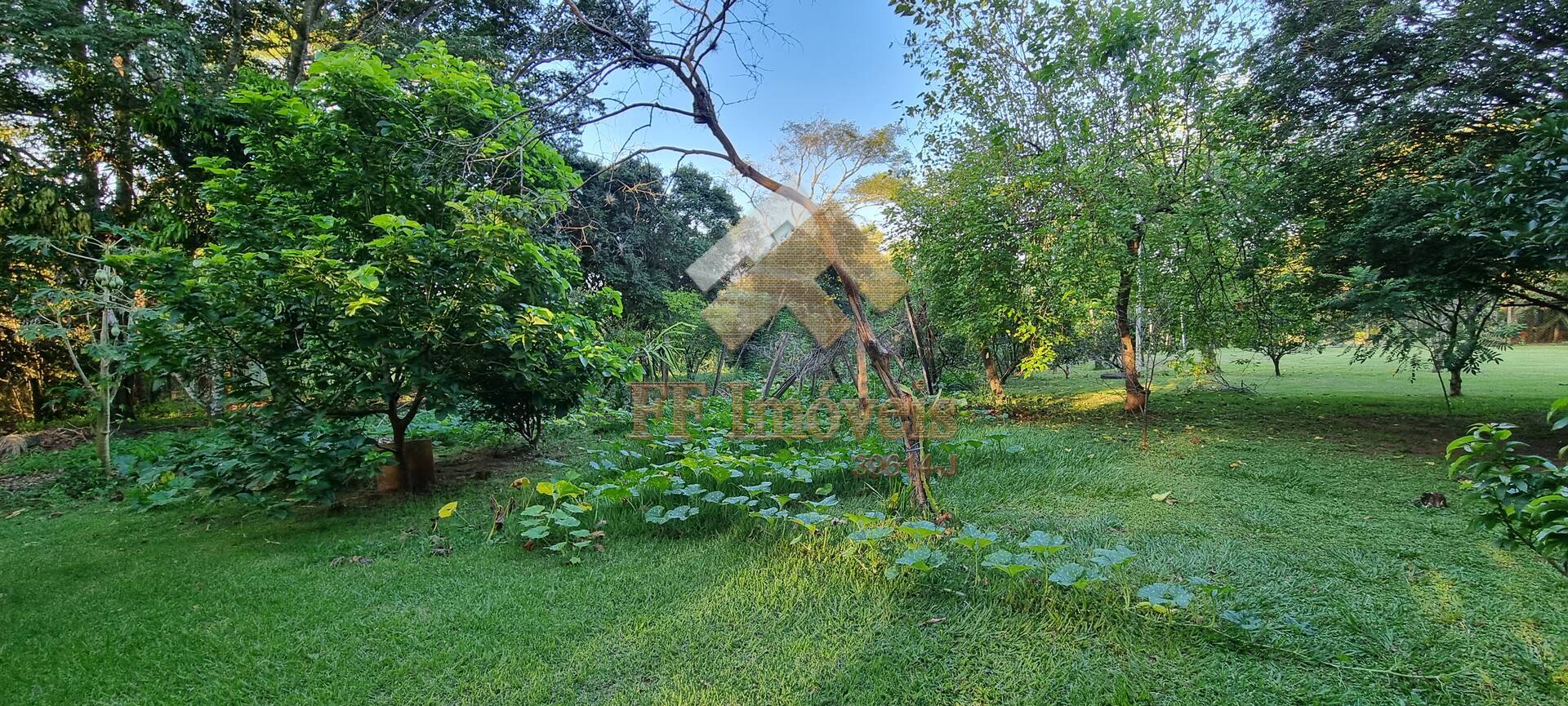 Fazenda à venda com 2 quartos, 300m² - Foto 14