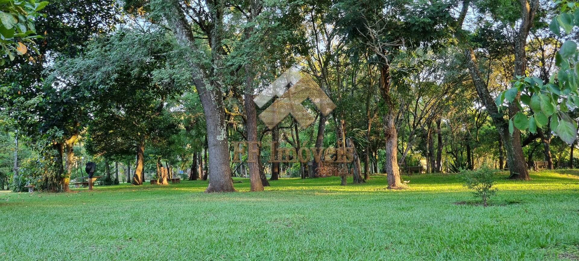 Fazenda à venda com 2 quartos, 300m² - Foto 16