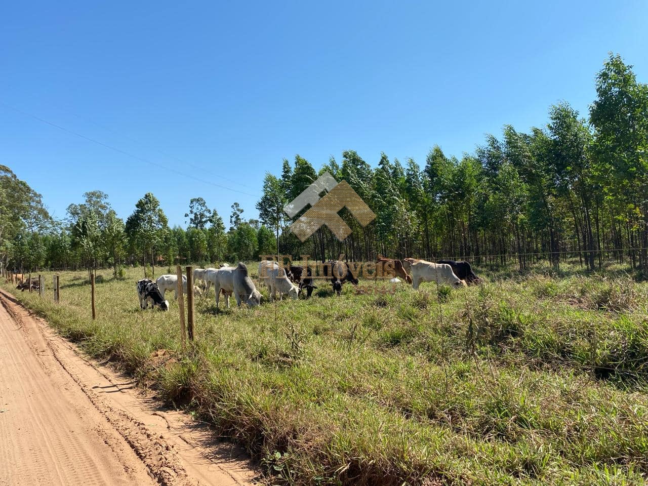 Terreno à venda, 10m² - Foto 10