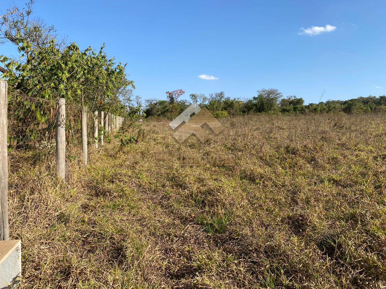 Terreno à venda, 10000m² - Foto 3